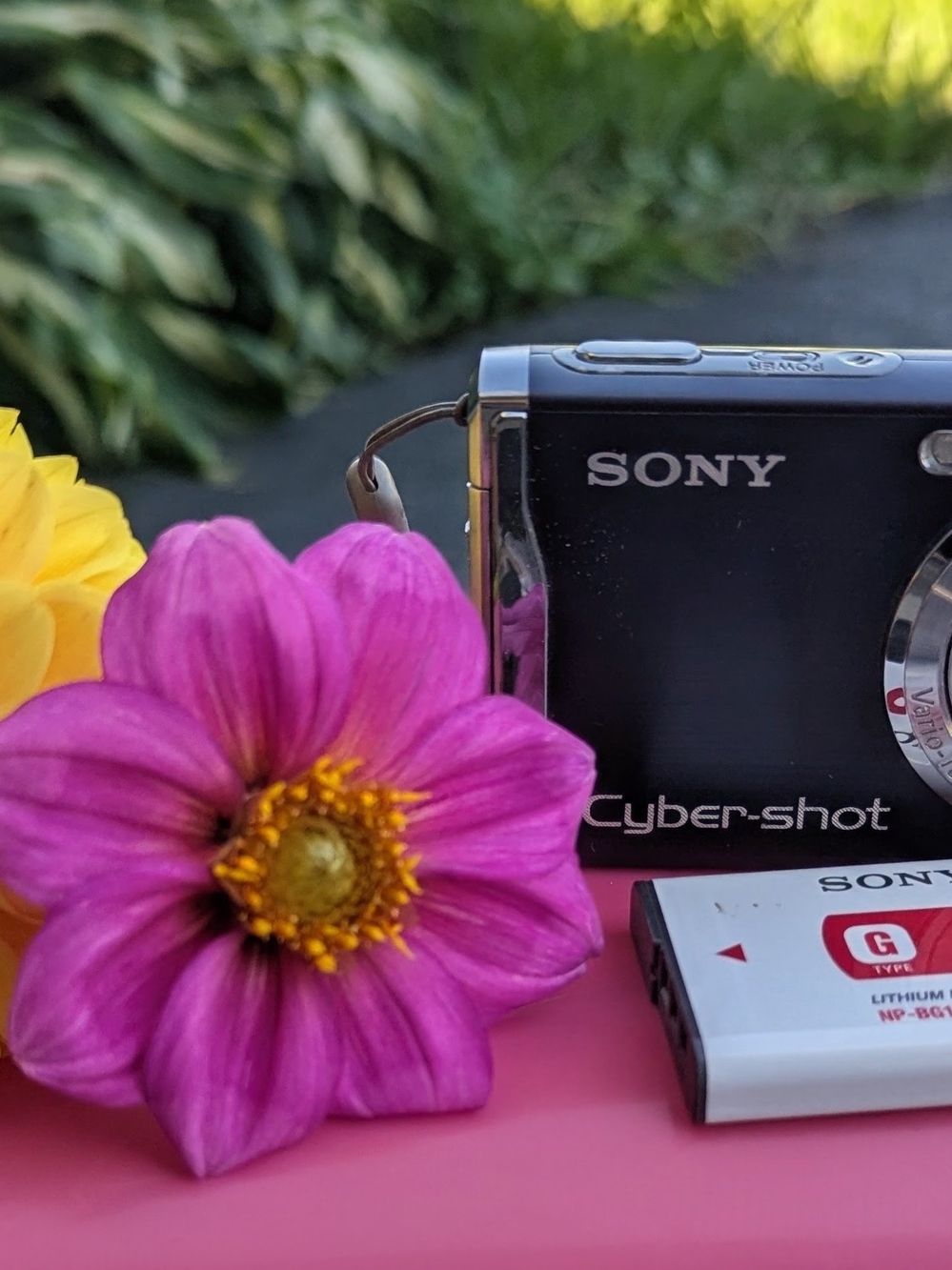 Sony Cyber-shot Compact Digital Camera in Black with Pink Flower Accent